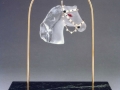 Circus Horse