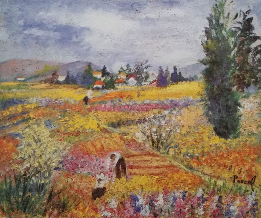 Flower Pickers in Grasse