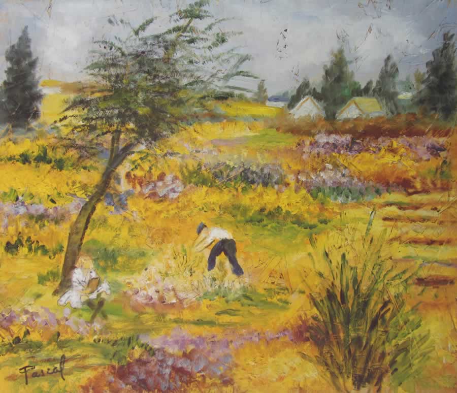 Spring in Ansouis