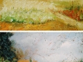 Countryside and Picnic -Suite