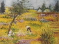 Spring in Ansouis